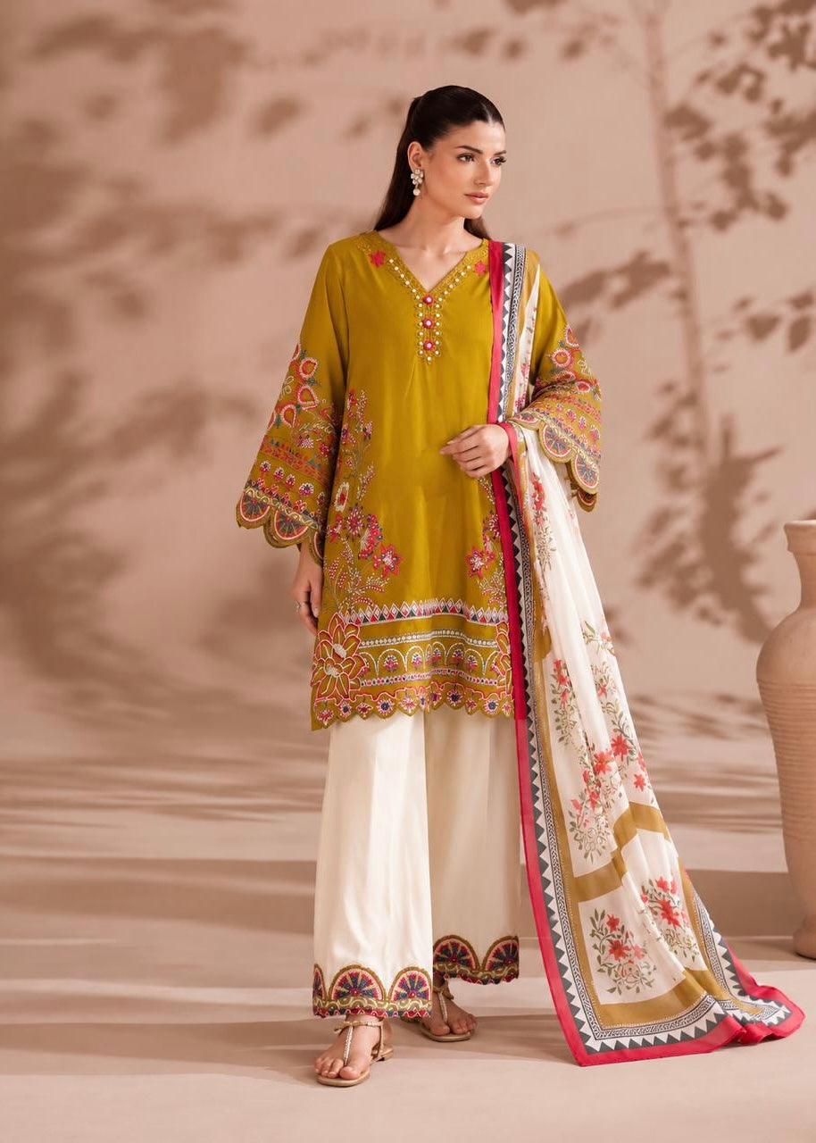 Royal Roman Cotton Embroidered Suit Set