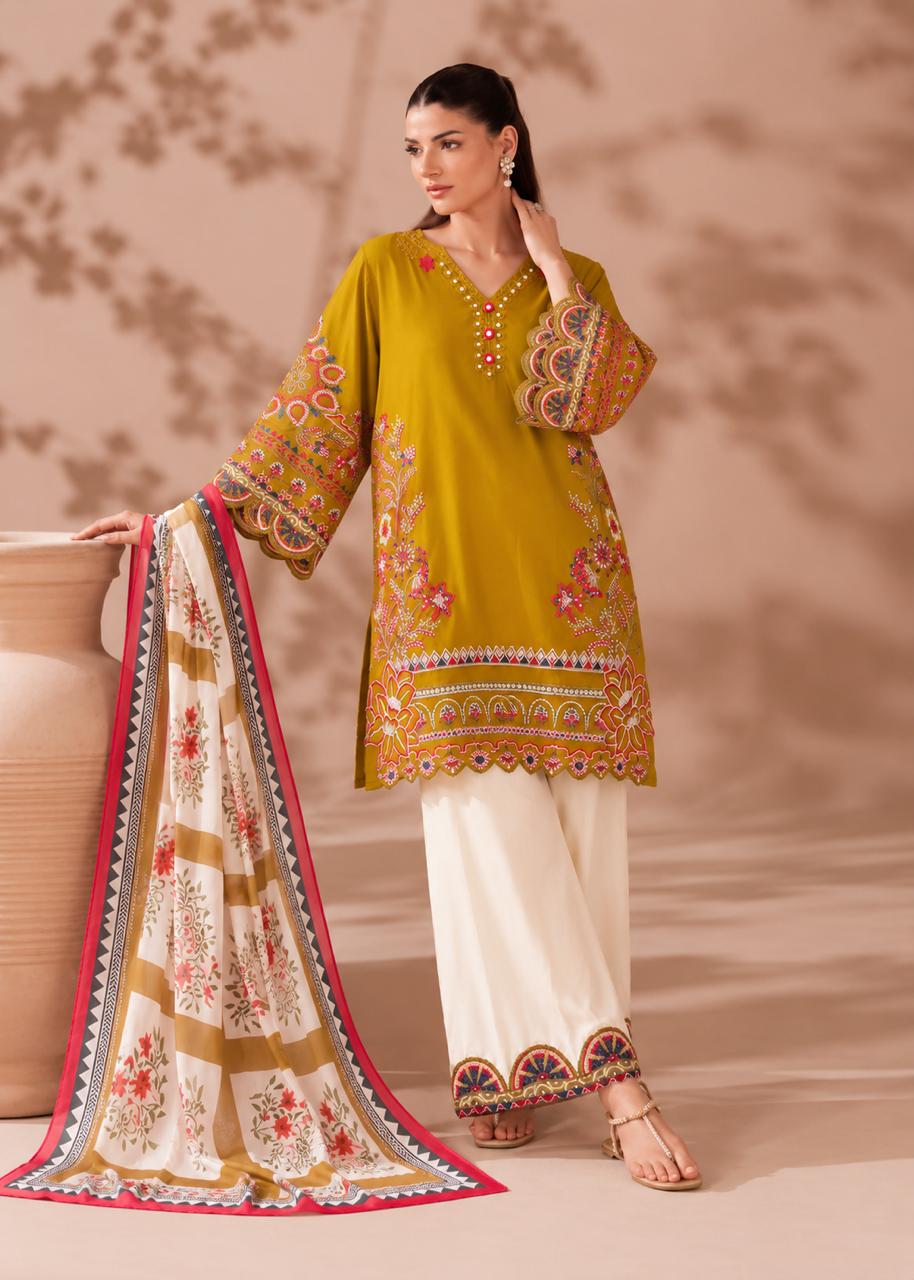 Royal Roman Cotton Embroidered Suit Set