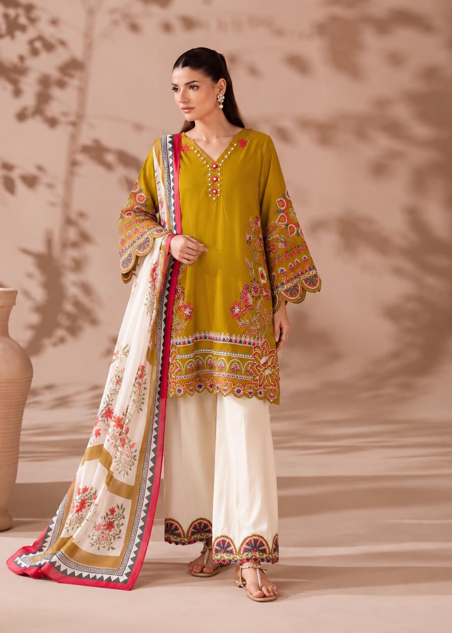 Royal Roman Cotton Embroidered Suit Set