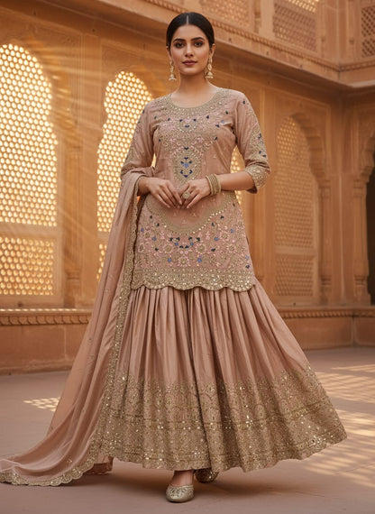 Beige sharara top view with embroidery